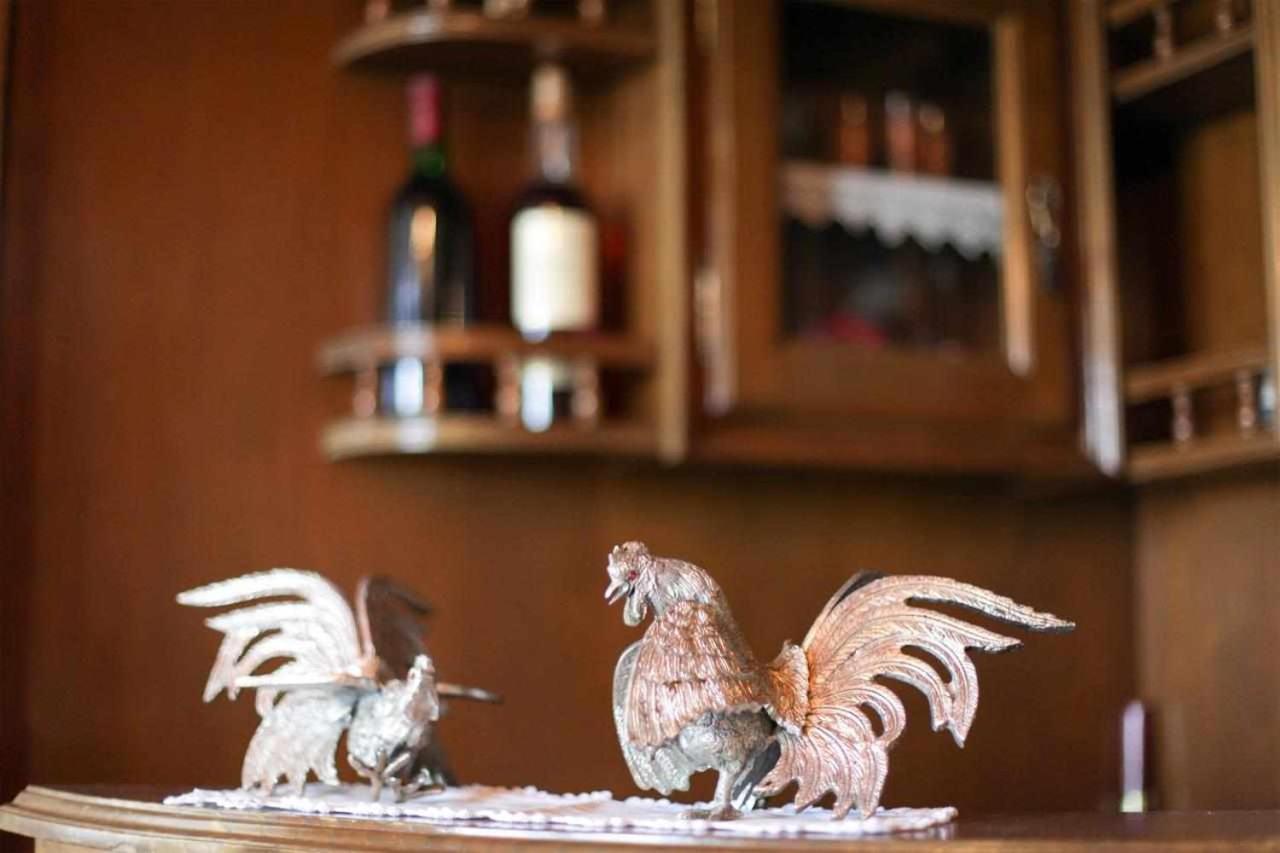 Casa Rural Do Salgueirinho 圣托·蒂尔索 外观 照片